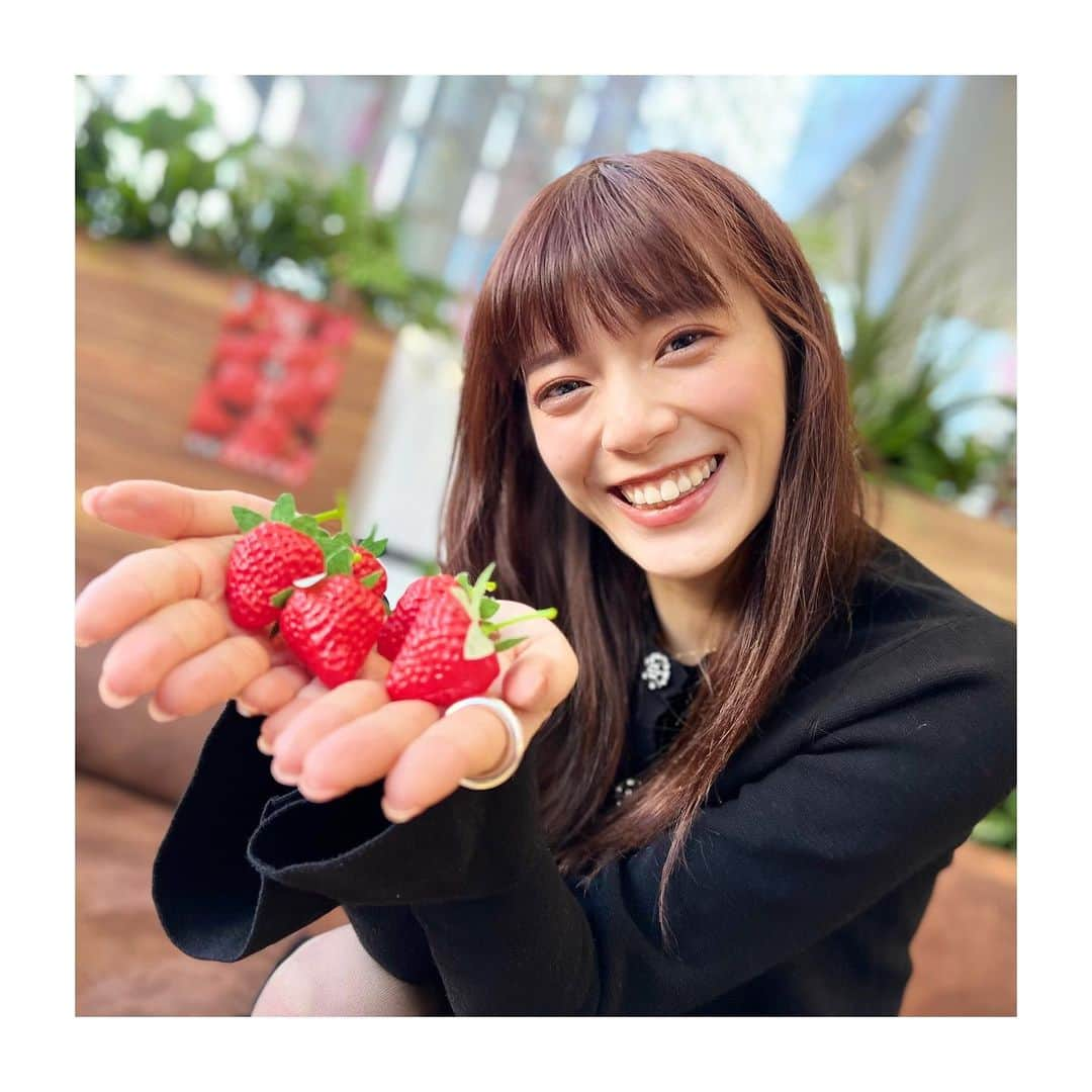 三谷紬さんのインスタグラム写真 - (三谷紬Instagram)「* Happy Valentine’s Day💝🍫 富川さんに撮ってもらった、 いちごをどうぞ🍓している写真。 ダイエットしている世の中の皆さん 今日だけは‼︎今日だけは…‼︎ 糖質高いけどチョコ食べましょ。 今日食べなかったらいつ食べる‼︎ってくらい 今日はチョコレートを食べていい日です。 私の共犯者になってください🥶笑 * #バレンタイン#バレンタインデー#バレンタインチョコ#🍫#Valentine#valentineday#いちご#🍓#ストロベリー#strawberry#レプリカ#replica#ダイエット#diet#今日はおやすみ#食べる#共犯者#テレビ朝日#アナウンサー#三谷紬」2月14日 20時42分 - mitani_tsumugi