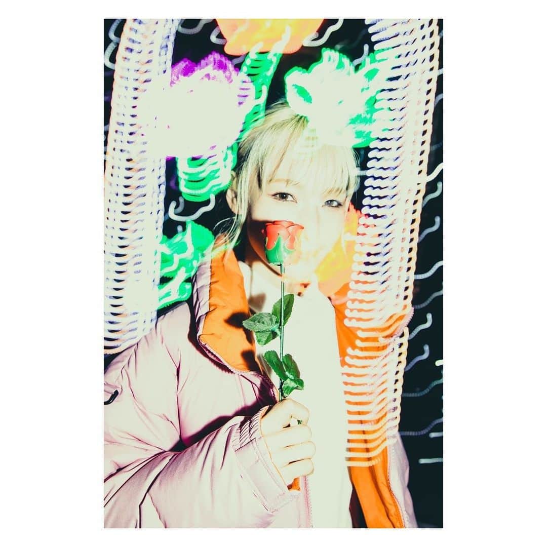 MAMIのインスタグラム：「いつかのねこぜフォトPhoto📸 . . . ハッピーバレンタインだっ🍫❤️‍🔥  . . 📸 @nekoze_photo  #あしかがフラワーパーク #去年のお話」