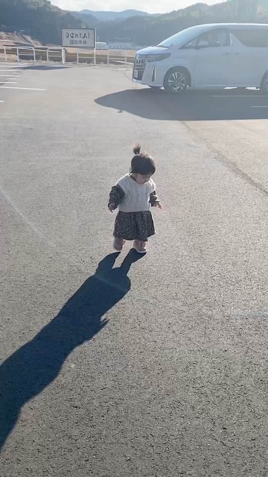 のインスタグラム：「歩くのが楽し過ぎるコモモちゃん🤗✨💓お散歩も上手になりました♡♡  #コモモちゃん成長日記  #お散歩 #ご機嫌」