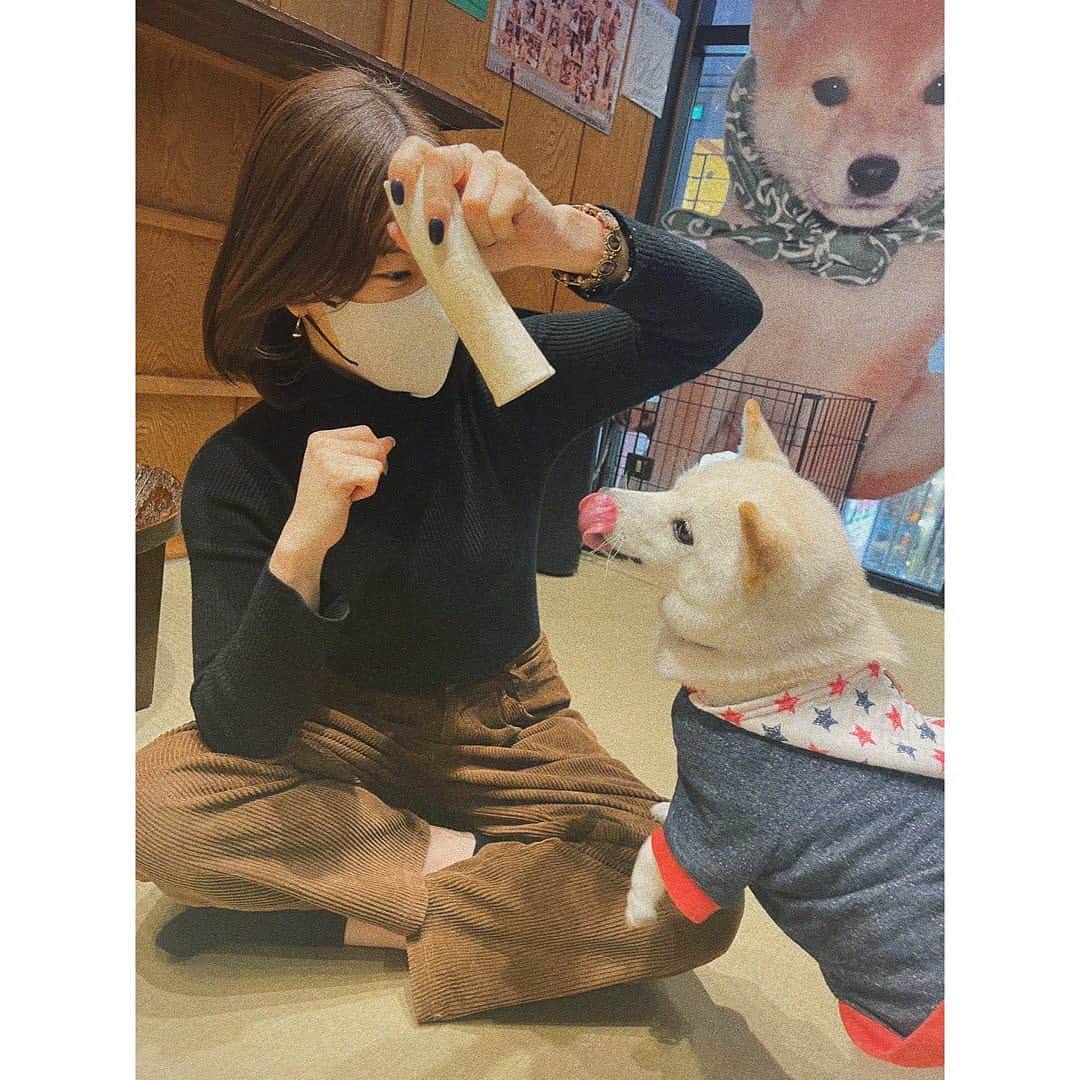 竹内美宥さんのインスタグラム写真 - (竹内美宥Instagram)「#shiba」2月14日 22時54分 - miyusanno.official