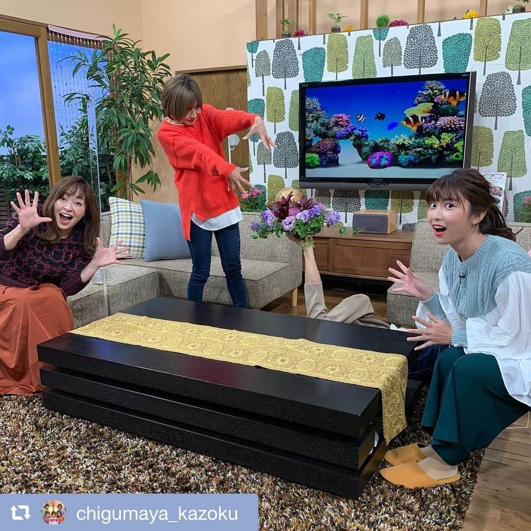 木村那津美さんのインスタグラム写真 - (木村那津美Instagram)「今週もちぐまや家族ご覧頂きありがとうございました😌  けいさんの超常現象に、 おっきーさんのグルメ、 トンカツ美味しそうでした〜！ 配膳ネコちゃんも可愛かった🐈‍⬛  あれ、雷太郎さんは？？  #柳井クルーズホテルリニューアル  #折尾ステーション  #週末ちぐまや家族#ちぐまや #超常現象#佐藤けい#沖永優子 #雷太郎　（手）#木村那津美」1月22日 10時42分 - natsumi_kimura1018