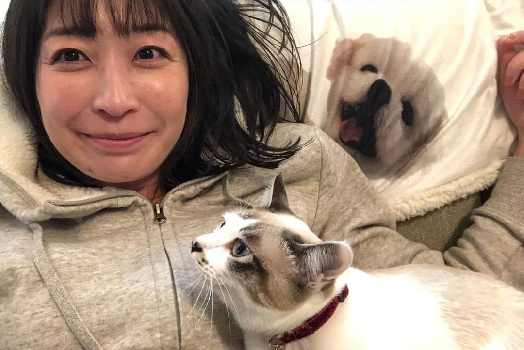 小野真弓さんのインスタグラム写真 - (小野真弓Instagram)「おはようございます☺️ ハルくんです🐾 ぼくのお友達に教えてもらった竹藪🐶✨  お気に入りスポットが〜 テレビに出まちたよ😆🎋 おかーさんも。ハナ姉ちゃんも。アオナナも。ちりんちゃんも。ついでに映してもらいまちた📺😏 ぼくのおかげです。ばーたーってやつです。  ギャラは、モッツァレラチーズと豚しゃぶ山盛りをお願いしまちた😆✨ ケチなおかーさんは、 小指の爪の先くらいしか、 くれましぇん。🍖🧀 せちがらい世の中です。  めげずに今日も、 おねだりしてみます😤✨  皆様も今日も、 朝ごはんをしっかり食べて🍚 良い一日をおすごしください🐾😷^_^  #チワマル#ハルくん#散歩命犬 #チワワ#ハナちゃん#スリング命犬 #雑種猫兄妹#アオくん#ナナちゃん #お泊まりにゃんこ#ちりんちゃん #犬と猫のいる暮らし#犬猫日記#朝日記#ハルくんの独り言#お散歩スポット#竹藪#雑種猫の魅力#兄妹猫の魅力 #最後の2枚は去年の5月#アオナナ子猫時代#大きくなったにゃ  🙋‍♀️ ハルくんはアレルギー持ちなのです。 牛さんも鳥さんも大豆さんも〜その他いろいろと、、 食べたら大変な事件になるのです😂 チーズと豚しゃぶは、、 ちょびーっとだけならね☺️ ハルくんのおかげでテレビに出られたよ。ありがとう😂」1月22日 7時19分 - hanaharuaroi