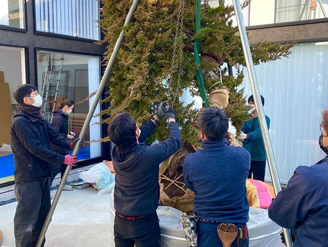 藤井フミヤさんのインスタグラム写真 - (藤井フミヤInstagram)「⁡ ⁡ ソナレと言う杉を飼います。 大阪の空植物園から やって来ました。 私と同じ年齢くらいらしい。 長い付き合いになりそうです。 プラントハンターの 西畠清順さんと 搬入記念写真。 ⁡ #artist #art #artwork #nude #painting #illustration  #fineart #ファインアート #contemporaryart #現代アート #mixedmedia #visualart #design #graphicdesign #artoftheday #artcollection #アートコレクター #fumiyart2022」1月22日 13時19分 - fumiya_fujii_ff