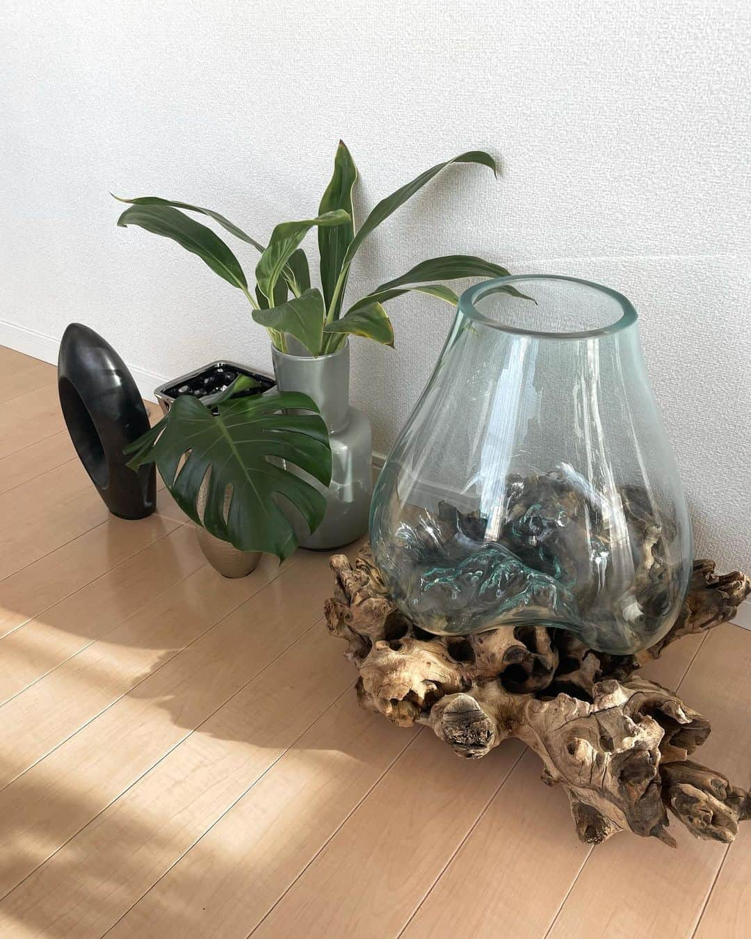 RiRiさんのインスタグラム写真 - (RiRiInstagram)「My room interior🤍  @fukuda_factory の流木ガラスが届きました🌿  一目惚れしたブランドさんで、見れば見るほどに心惹かれてしまうの。。。✨  流木は、荒々しくも強くどっしりとした 芯を持つ安心感を持っていて、 それを包み込む様に、ガラスが柔らかい曲線を描きながら、 優しく美しく凛と在る。  まさに、男性性と女性性の象徴に見えて、 全くの別物だけど、お互いの特性を活かして どちらかだけが目立つのではなく、 どちらも在るからより素敵な状態になれるという そんな調和されている、この作品にとても感動しました。  文字書きながらも、うるっときてしまった。😭✨  お家のインテリアにもぴったりで、とても心が踊って最高！！！🤍  世界に一つだけの、自然と人間のクリエイティブが創造したアート作品🌍✨  #福田工房 #流木ガラス #流木インテリア」1月22日 16時19分 - _ri420