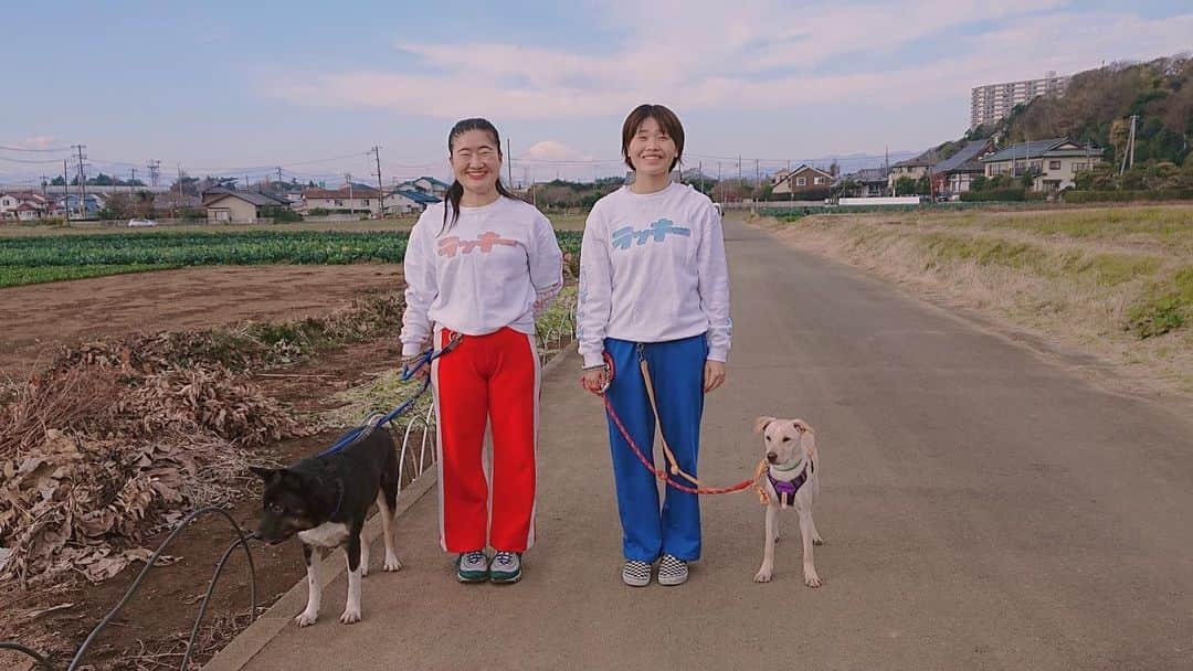 ガンバレルーヤのインスタグラム：「今夜19時から#ILOVEみんなのどうぶつ園 があります🐶💗💛💗💛💗💛 保護施設に泊まって20匹のわんちゃん達と一緒に過ごさせて頂きました🌈🐶💪🏽💓 是非見て下さい🥺✨  #ILOVEみんなのどうぶつ園 #湘南1leben  #ガンバレルーヤ #ガンバレルーヤよしこ #ガンバレルーヤまひる」