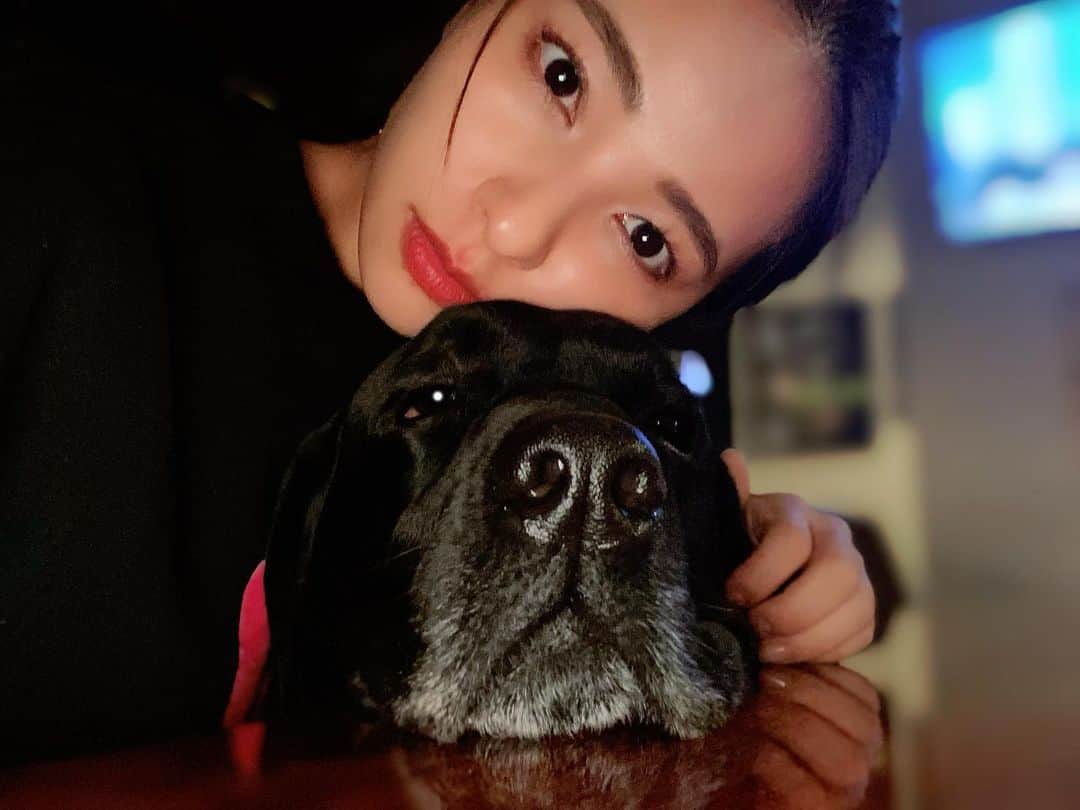 水崎綾女さんのインスタグラム写真 - (水崎綾女Instagram)「可愛いおっきいわんこ。 大型犬も好き🥰🥰🥰  #犬 #大型犬  #いぬすたぐらむ #いぬ #dog #dogsofinstagram #dogstagram #doglover  #doglife」1月22日 18時24分 - misakiayame
