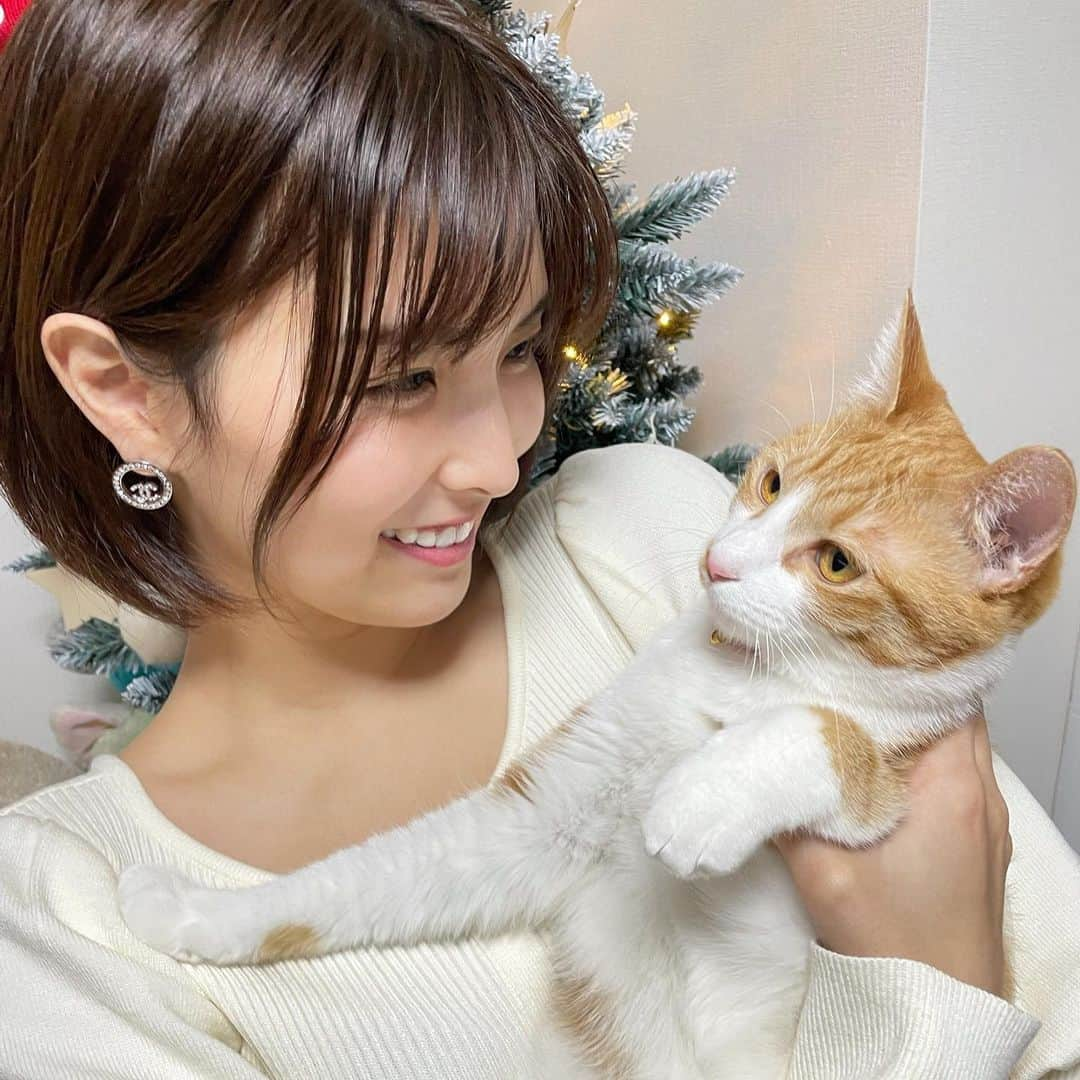 ききまるさんのインスタグラム写真 - (ききまるInstagram)「愛猫に拒否られる我」1月22日 18時27分 - kikigram_97