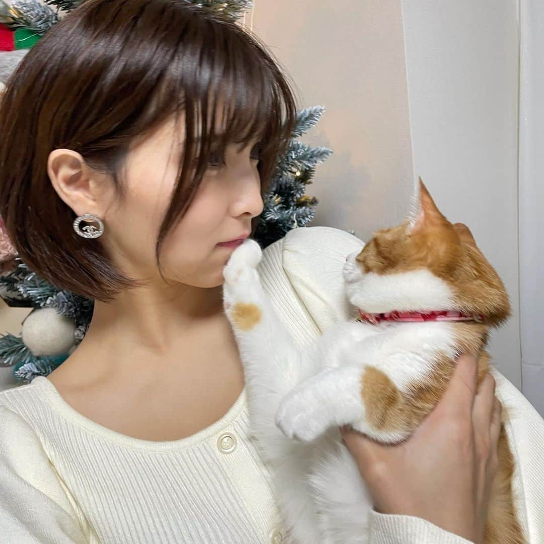 ききまるさんのインスタグラム写真 - (ききまるInstagram)「愛猫に拒否られる我」1月22日 18時27分 - kikigram_97