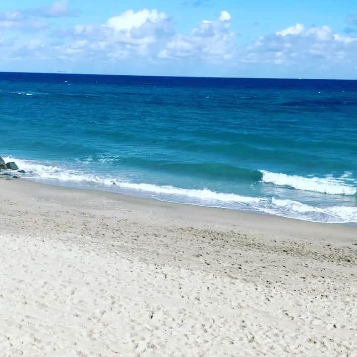 スーザン・ルッチのインスタグラム：「Keeping this warm and beautiful vision from two weeks ago with me! 🥰🥰🥰🌴🌴🌴」
