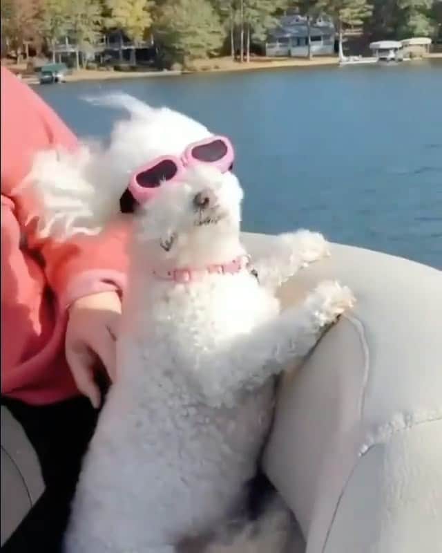 ジョジー・マランのインスタグラム：「We hope your weekend looks a little something like this. Let your hair down, turn up the music, and enjoy the #joyride. via @merymode」