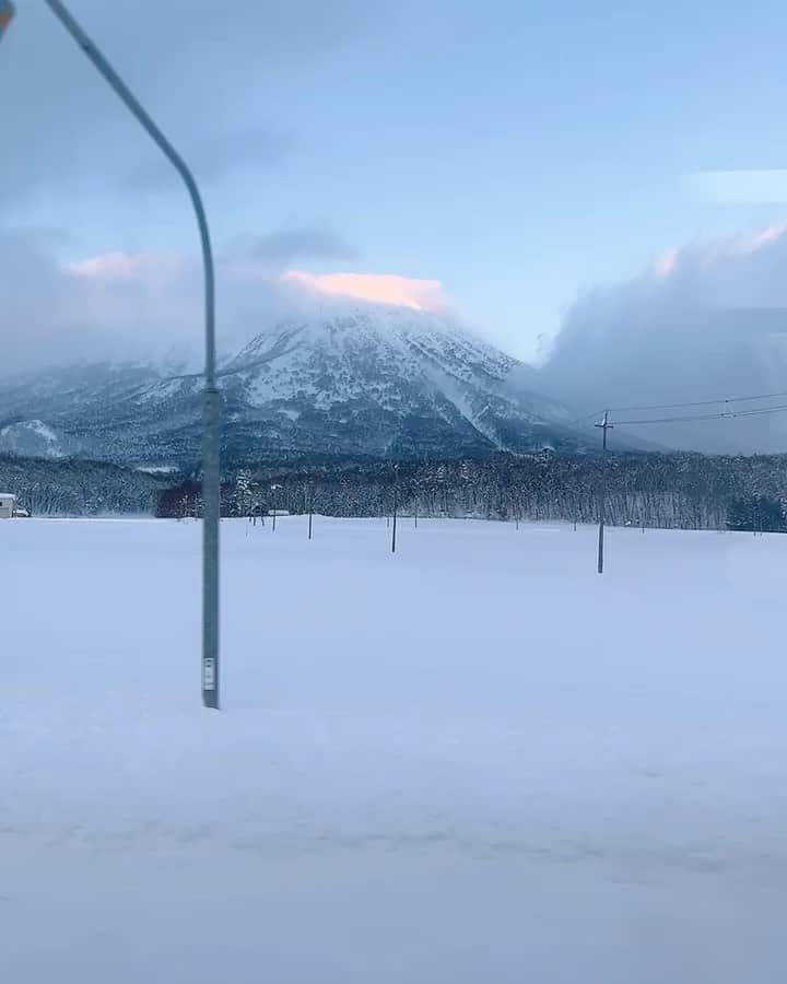 吉田セイラのインスタグラム：「年末年始😊は、ニセコへ 雪☃️雪❄️雪☃️😍本当に好きなんです😊 子供の頃、アブダビに住んでた頃はヨーロッパが近かったから、 冬休み、春休みは、スキーしに🇫🇷Chamonixに🎿いっていて、その頃を思い出す😍ニセコは、日本だけど、英語のが通じたりするし、海外ぽいから、好き😍 もう一つ日本に家をもつなら、ニセコに欲しいくらい。 今回はカサラニセコビレッジタウンハウスに、スティしたんだけど、ひろいし、サービスもいいし、 すごくよかった😍」