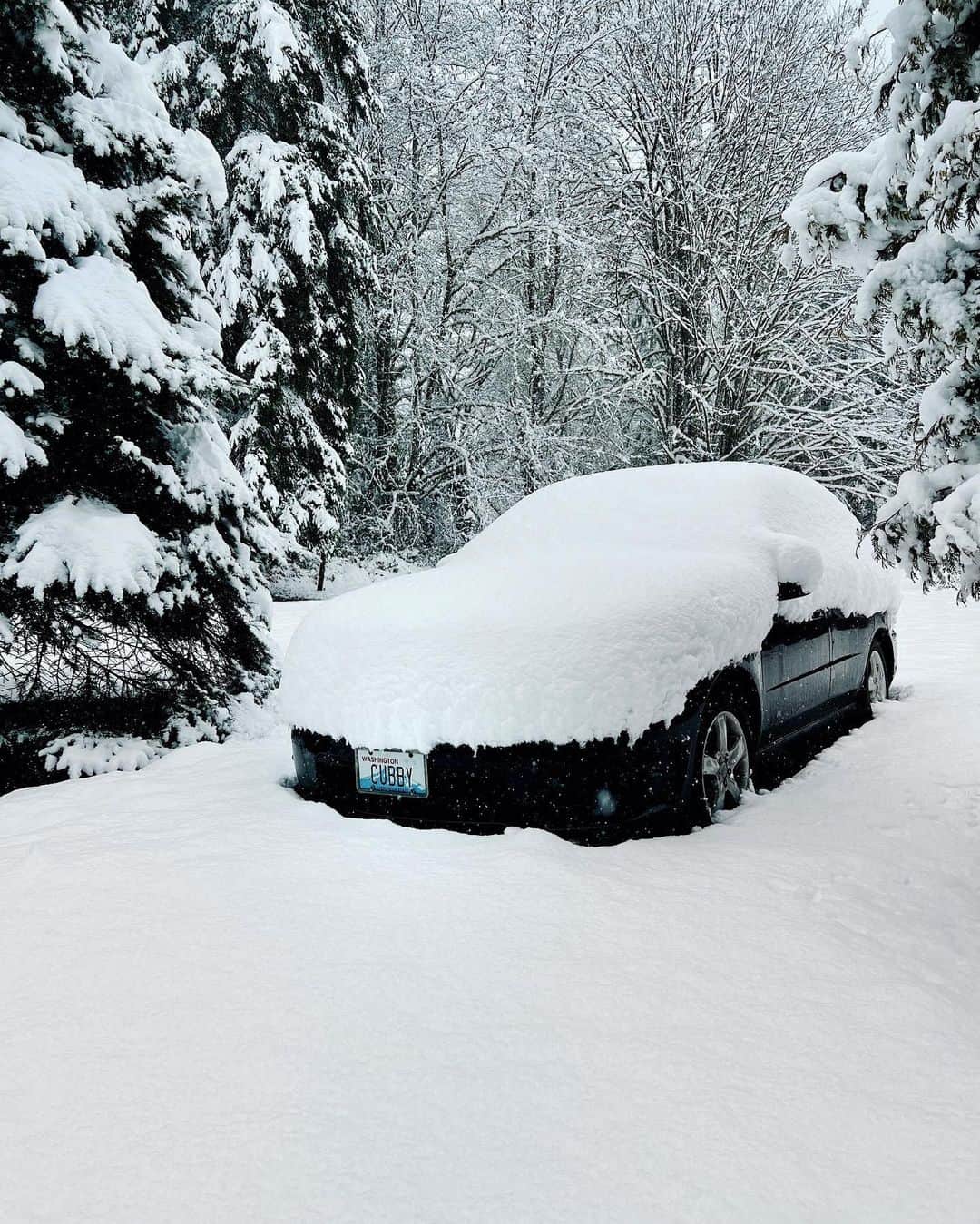 Cubby Grahamのインスタグラム：「Sno-where to go ☃️  All growing up, a snowy holiday was always such a rare treat at my childhood home. This past year, we got completely snowed in and everything looked so fluffy and beautiful. Until it didn’t.  A few weeks ago after all the snow, the Pacific Northwest got hit with a bunch of heavy rain. Which melted all the snow and quickly caused all the rivers to overflow and completely flooded the region with heartbreaking damage.  The flood waters came up so fast, surrounded my mom’s home, filling the basement with water, swiftly moving under the house and into the ventilation, shorting out some of the electrical outlets and heating system.  Fortunately my mom is safe, no water got into the house, and the flood waters have gone down. It was the most flooding the area had seen in decades and has been completely devastating. My sweet little car, “Steve”, sits a little lower and he quickly filled up with water and unfortunately is totaled. We’re currently working with the adjusters to assess all the damages on the house and getting a service team scheduled to do the repairs on my mom’s home.  But despite all the heartbreaking damages, we’re just so grateful that everyone is safe. 🙏」