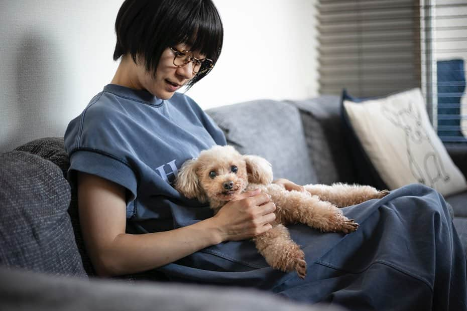 時東ぁみさんのインスタグラム写真 - (時東ぁみInstagram)「こんなにも愛犬くんと会えてないのは初めて🐶😭 ・ 家での様子を見てると、最初は悲しくて寂しい表情だったけど、だいぶ慣れてきてるみたい！ 元気いっぱい過ごしてくれてて安心♡ ・ モコモコ、暖かさ、匂い、鳴き声、全部愛おしくて早く会いたいっ！！！ ・ #時東ぁみ #愛犬 #dog #トイプードル #toypoodle #男の子 #息子 #彼氏 #シニア犬 #11歳 #11yearsold #会いたい #離ればなれ #寂しい #悲しい #頑張る #耐える #入院 #いぬすたぐらむ #犬バカ部 #🐶」1月23日 14時27分 - amitokito