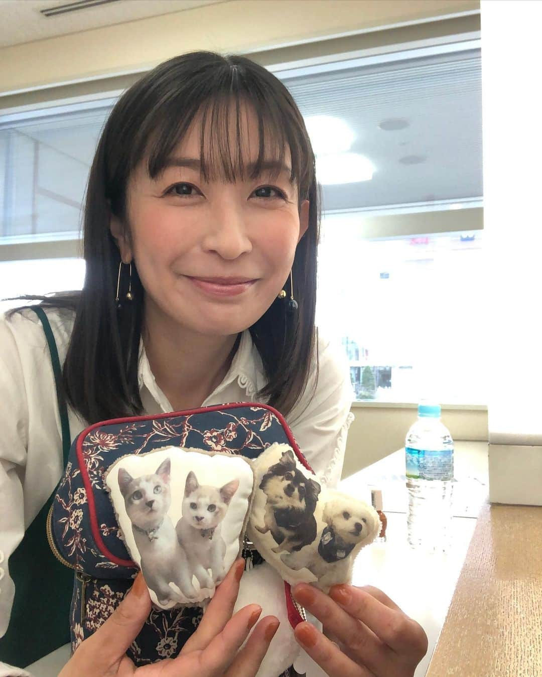 小野真弓さんのインスタグラム写真 - (小野真弓Instagram)「おはようございます^_^ ほっこり和室の楽屋🍵♨️ メイクポーチに🐶🐶🐱🐱✨ ふわふわもこもこ癒されます☺️🐾 🏡 家でのリアルふわもこさんたち✨ ハル達磨くん☃️目周りだけ✂️ おかーさん的には、 もけもけ感がたまらなく好きだけど〜🐏☁️✨💕 そろそろ少しだけ整えます〜😂🙋‍♀️  良い日曜日を＼(^ω^)／🍀  #楽屋かーさん#和室#お台場 #マニキュア塗りたて #チワワ#ハナちゃん#ねむねむ #チワマル#ハルくん#もけもけ #雑種猫兄妹#アオくん#ナナちゃん #お泊まりにゃんこ#ちりんくん #あまえんぼにゃんこ #日向ぼっこ#仲良しわんにゃん家族  #犬と猫のいる暮らし#犬猫日記#朝日記#雑種猫の魅力 #兄妹猫の魅力」1月23日 7時15分 - hanaharuaroi