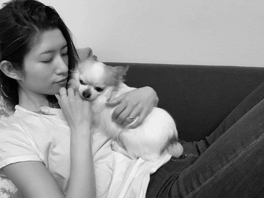 柳めぐみのインスタグラム：「. . 癒し。 . #癒し #今日もありがとう #愛ちてる」