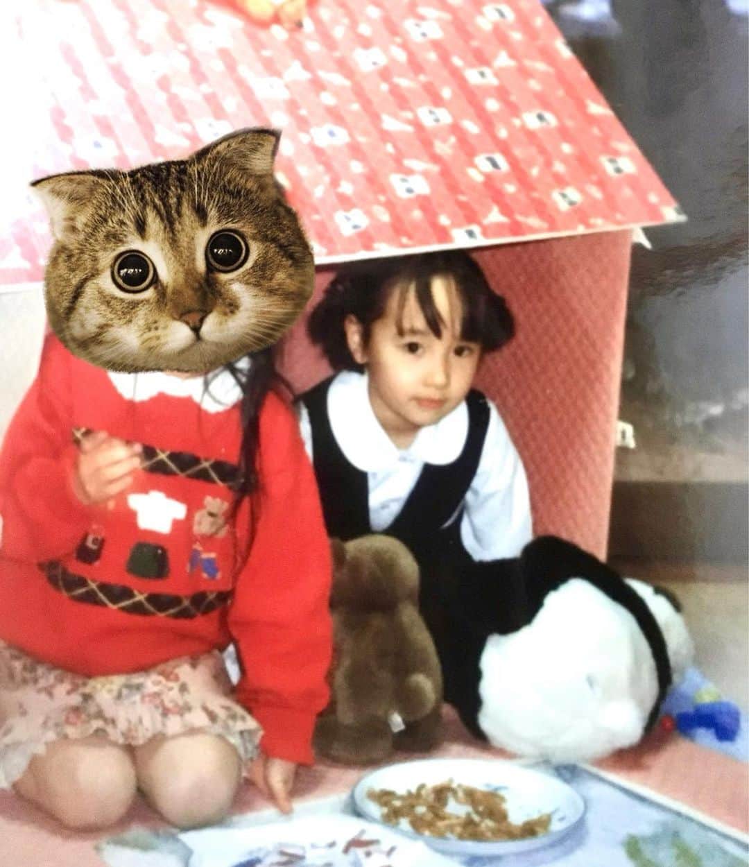 島川未有さんのインスタグラム写真 - (島川未有Instagram)「最近スタッフさんから幼少期の写真のリクエストがあり、実家の母に送ってもらった写真📸 ✴︎ ①枚目　幼稚園年長 男の子によく間違われていました。 ✴︎ ②枚目　1年生 ③枚目　2年生 ✴︎ ④枚目　3年生 一年の間に何があった？ 実は、この頃から太りだし、前髪が癖で割れだしておでこ全開と、第一次暗黒期に突入するのであった。  #最後は長州小力似 #太ると顔につく #太ると目が小さくなる #太ると人相変わる #今より幼少期の方が鼻筋通ってる #いつから団子鼻になった」1月23日 21時03分 - miyu_shimakawa
