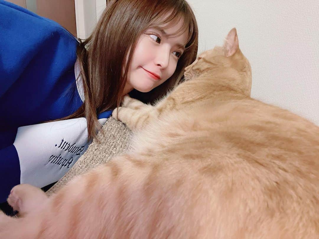 木下ひなこさんのインスタグラム写真 - (木下ひなこInstagram)「毎日癒しをありがとう🐅🧡  #猫#猫のいる暮らし#ねこすたぐらむ#保護猫#保護猫と暮らす#ねこ#cat#catstagram」1月23日 21時15分 - hinako_0525