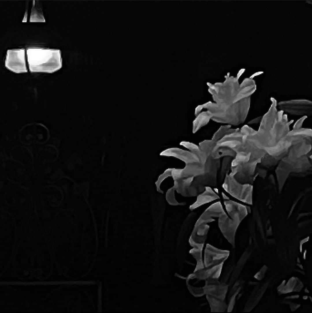 山崎亜美瑠のグルメインスタ