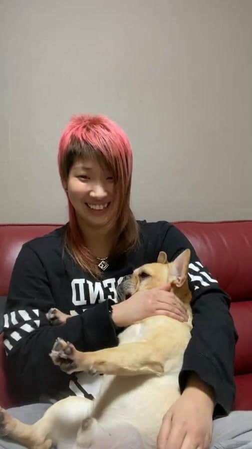 彩羽匠のインスタグラム