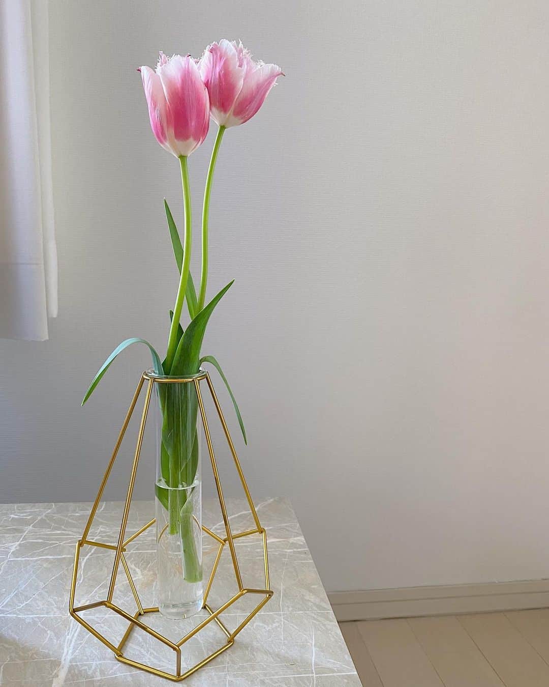 桃瀬りんかさんのインスタグラム写真 - (桃瀬りんかInstagram)「🌷🌷︎🌷︎ 部屋に置いた瞬間暖かくてなのか 花びらがすぐ開いてびっくり。笑 ・ ピンクなのも可愛いっ☺️💓 ・ ・ ・」1月24日 14時24分 - momose_rinka
