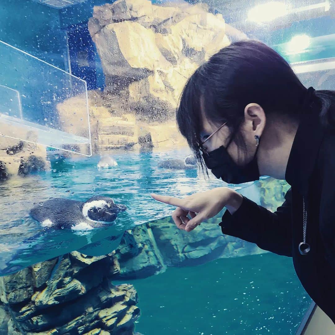 桿子 Drumstickのインスタグラム