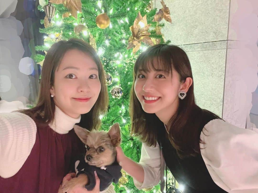 斎藤ちはるさんのインスタグラム写真 - (斎藤ちはるInstagram)「去年のクリスマス頃、感染が落ち着いていた頃の思い出…☺️ . . 彩里のお家にお邪魔して 彩里おばあちゃんの飼うレイチェとバジルと戯れました🤤 . そして恒例のショッピングも🤗 . . #楽しい #クリスマス でした #幸せな思い出 #また #写真載せますね #次 は #キトリ に #会いに行く…！☺️ . . #下村彩里 @sairi.shimomura_ex  #斎藤ちはる#テレビ朝日アナウンサー#テレビ朝日#テレ朝#アナウンサー#休日#お休みの日#おうち#お家#ショッピング#爆買い#恒例#わんこ#わんちゃん#犬#思い出#思い出pic#同期#レイチェ#バジル#🐶」1月24日 20時46分 - chiharu_saito_ex