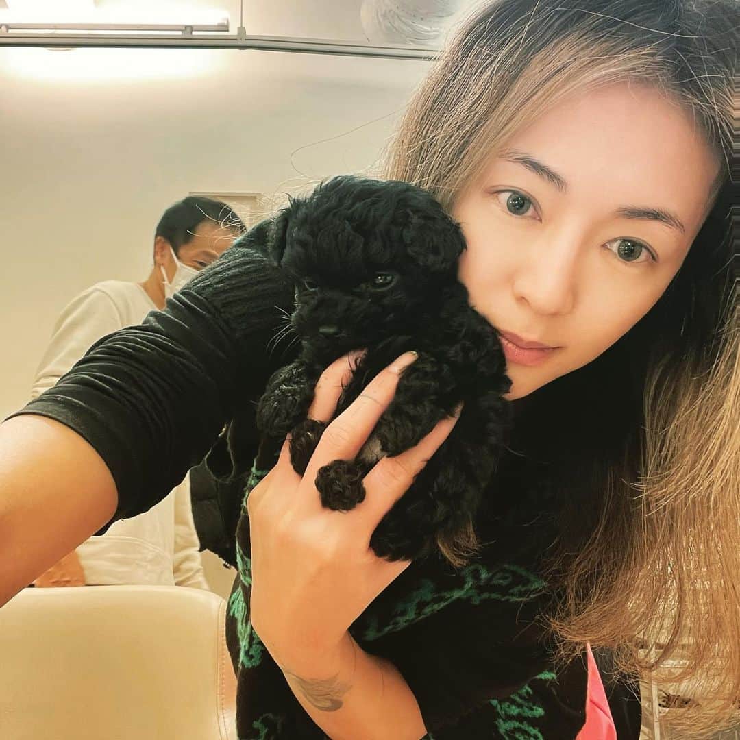 内藤陽子のインスタグラム：「久しぶりのTwiggy✂︎ いつもはニコと一緒だけど、学校があるから、今日はJJと🐩  佐伯さんのパーマがあまりにも長持ちしてくれて、ずっとサボってた。  野中さんに15cmくらいカットしてもらって、Stephenのカラー💇‍♀️ 写真じゃ分かりづらいけど、地毛を残したままのハイライト 前髪部分はほぼ金髪？白に近い🦳  もうメイクしなくなった事に慣れ過ぎ。 たまにはしなきゃな〜って思うんだけど、マスクだし、 まぁいっかってなってコンタクトだけよね。 半年以上マツエク行ってないしな。  #いつもワガママ聞いてくれてありがとう  #ワインのみながら #Twiggy」