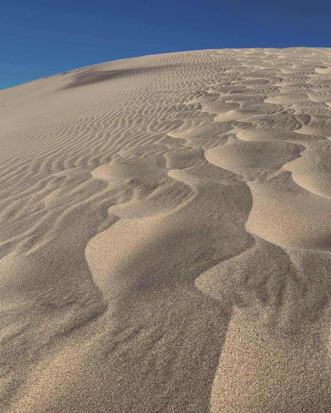 レイチェル・クックさんのインスタグラム写真 - (レイチェル・クックInstagram)「If earth ever starts feeling familiar… I know I haven’t been exploring enough 😜 Swipe to see the sand storm! Such a beautiful thing to witness.」1月25日 2時35分 - rachelc00k