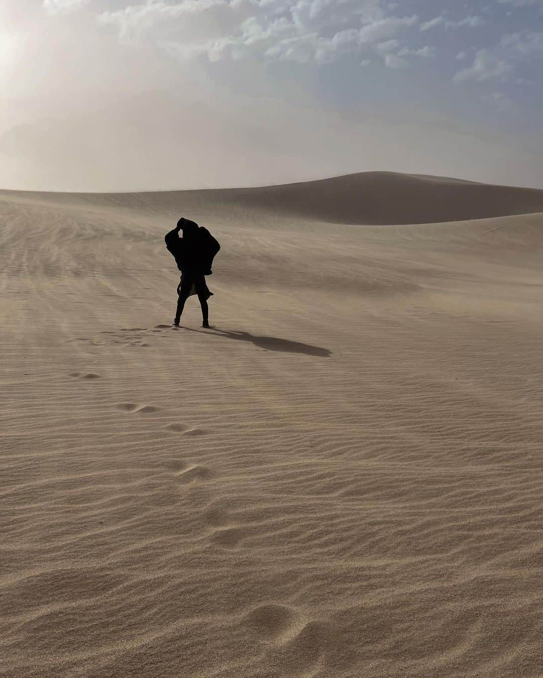 レイチェル・クックさんのインスタグラム写真 - (レイチェル・クックInstagram)「If earth ever starts feeling familiar… I know I haven’t been exploring enough 😜 Swipe to see the sand storm! Such a beautiful thing to witness.」1月25日 2時35分 - rachelc00k