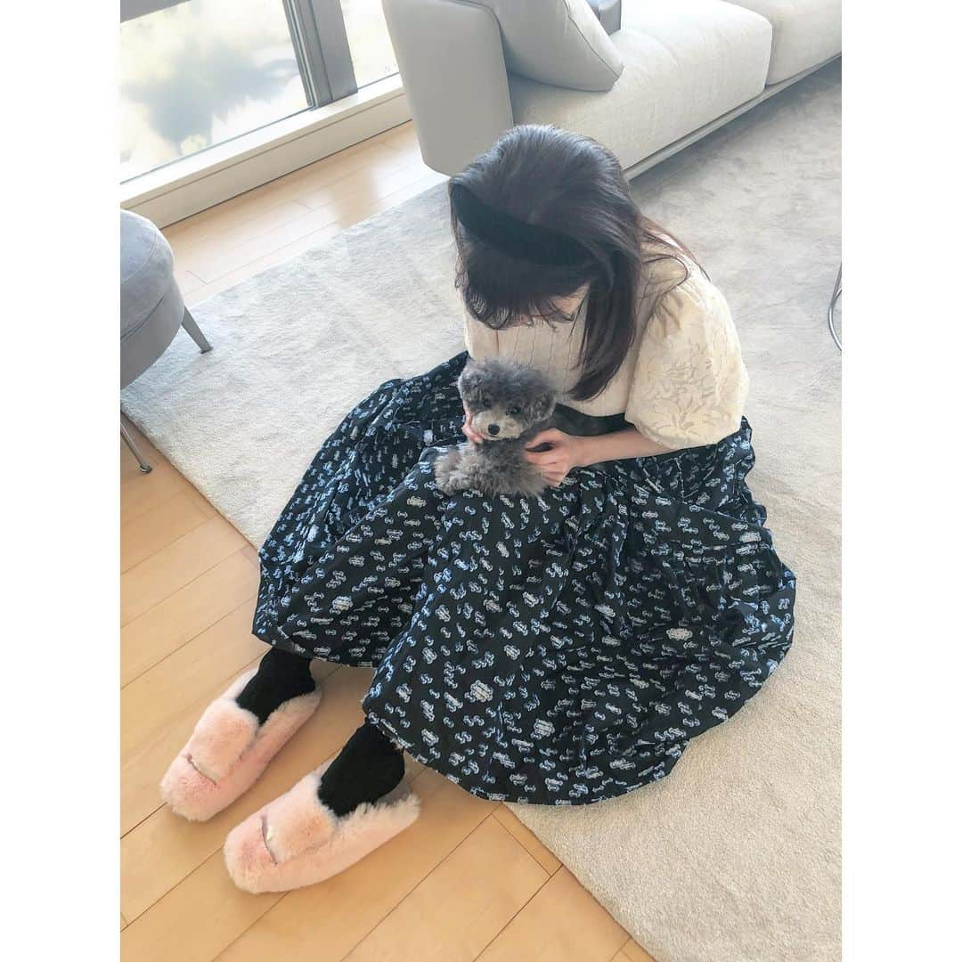 石井美保さんのインスタグラム写真 - (石井美保Instagram)「朝からみな実ちゃんが撮ってくれた写真を見返して癒されてます。 うちに来るなり私の膝に乗ったり、横でコテンと寝てみたり。ママにアピールしてみたり。こりゃたまらないわ💕 2枚目私服タグ付けしました。」1月25日 9時57分 - miho_ishii