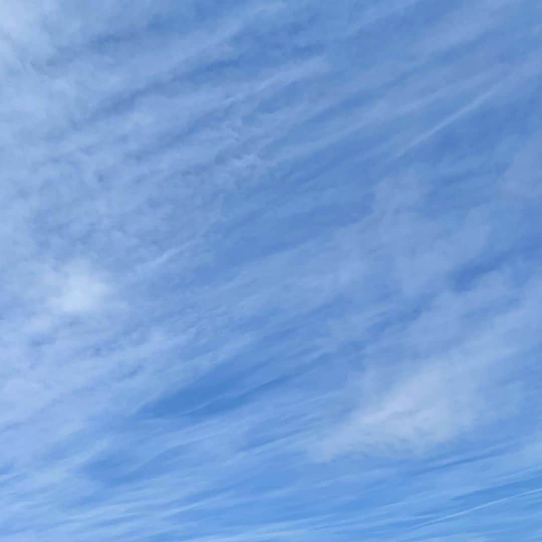 吉井明子さんのインスタグラム写真 - (吉井明子Instagram)「☁️/☁️/☁️   #東京の空 #天気下り坂 #気象予報士 #気象キャスター #weatherforecaster #기상캐스터　#氣象主播 #吉井明子 #nhk #bs4k #bs1 #bsニュース4k」1月25日 15時04分 - akiko_yoshii_sunny_rain