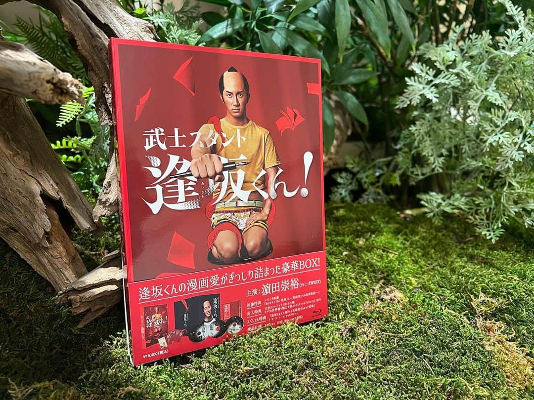 武士スタント逢坂くん！のインスタグラム：「#武士スタント逢坂くん  DVD&Blu-ray BOX 2月2日発売🐙  着々と皆様にお届けする準備が始まっています🌈 表紙は真剣な表情の逢坂くん✨  発売まであと少し👍  #濵田崇裕 #ジャニーズWEST #森本慎太郎 #SixTONES #久保田紗友 #長井短 #今井隆文 #髙嶋政宏」