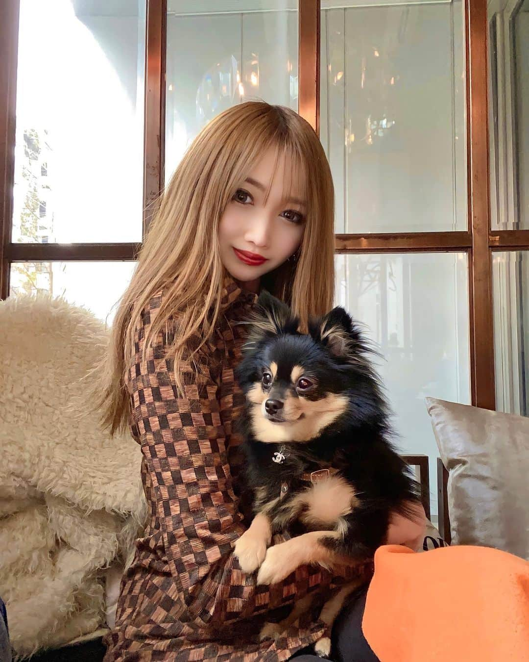 JURIさんのインスタグラム写真 - (JURIInstagram)「・  親子🤱🐶🤍  ・  ・  #東京#tokyo#六本木#麻布十番 #cafe#restaurant#goddess #dogcafe#麻布十番レストラン #犬連れ#テラス#チワポメ#mix犬 #六本木lalah#lalah」1月25日 18時47分 - ripo1001