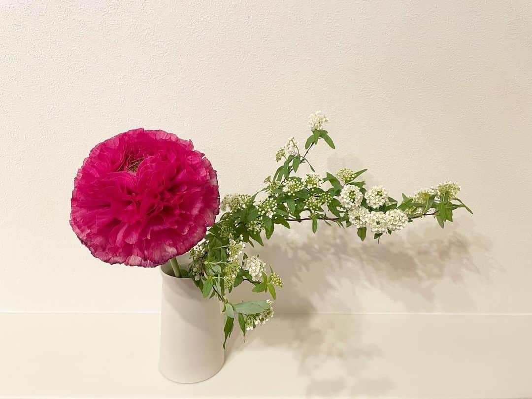 熊澤枝里子さんのインスタグラム写真 - (熊澤枝里子Instagram)「かわいいね☺️🌸  日々咲いてくるお花に和ませてもらってます💖」1月25日 18時57分 - kumazawa_eriko