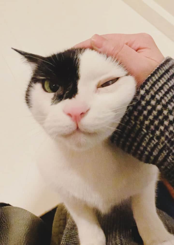 OKAのインスタグラム：「ただいまー  #ガブリエイタコロスケ師匠」