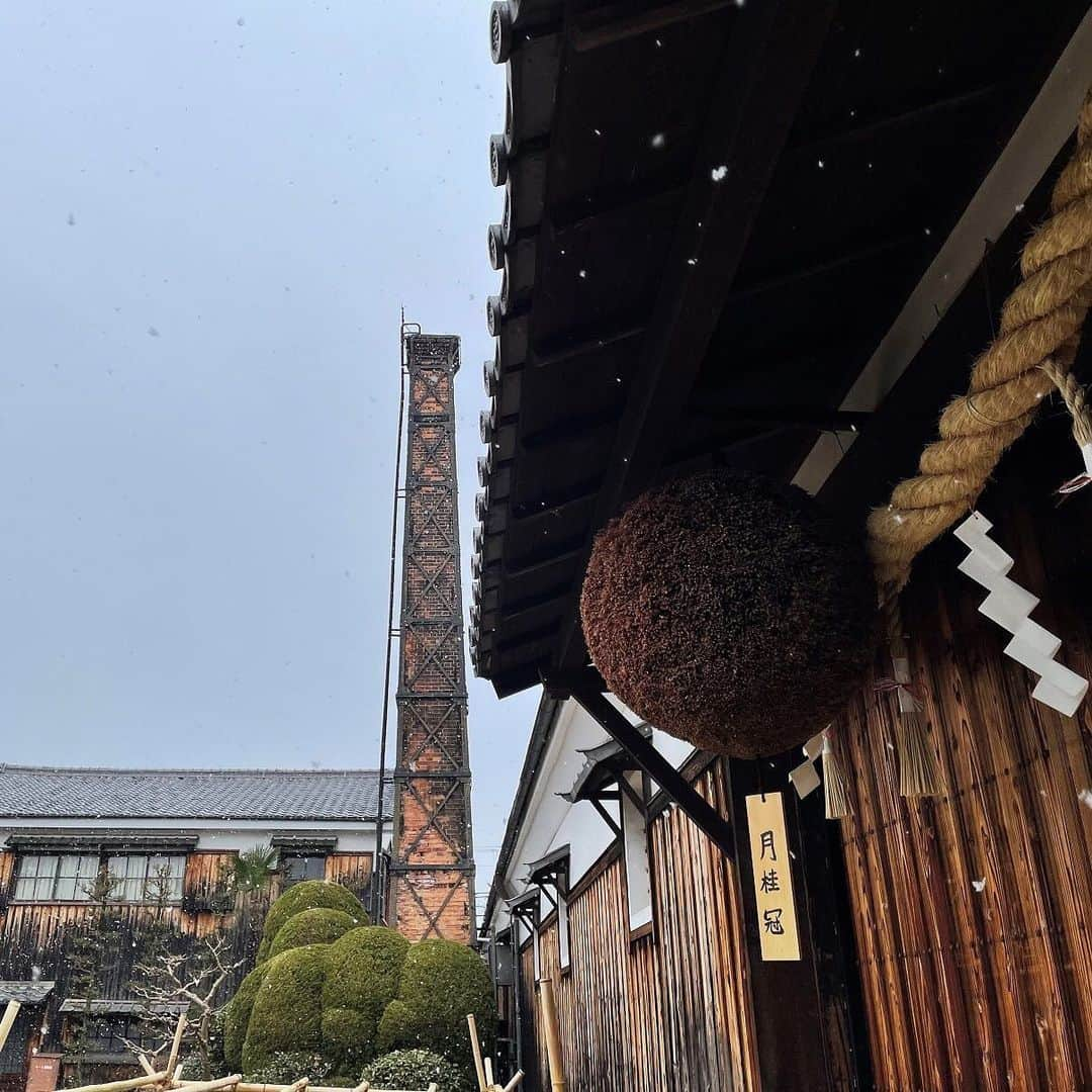 Gekkeikan Sake Officialさんのインスタグラム写真 - (Gekkeikan Sake OfficialInstagram)「#snow #snowy #snowscape #snowworld #winter #gekkeikan #gekkeikansake #sake #japanesesake #sakebrewery #sakegram #japan #kyoto #fushimi #cooljapan #japanesestyle #雪 #雪景色 #月桂冠 #月桂冠大倉記念館 #日本酒 #清酒 #酒蔵 #京都 #伏見」1月25日 20時00分 - gekkeikansake