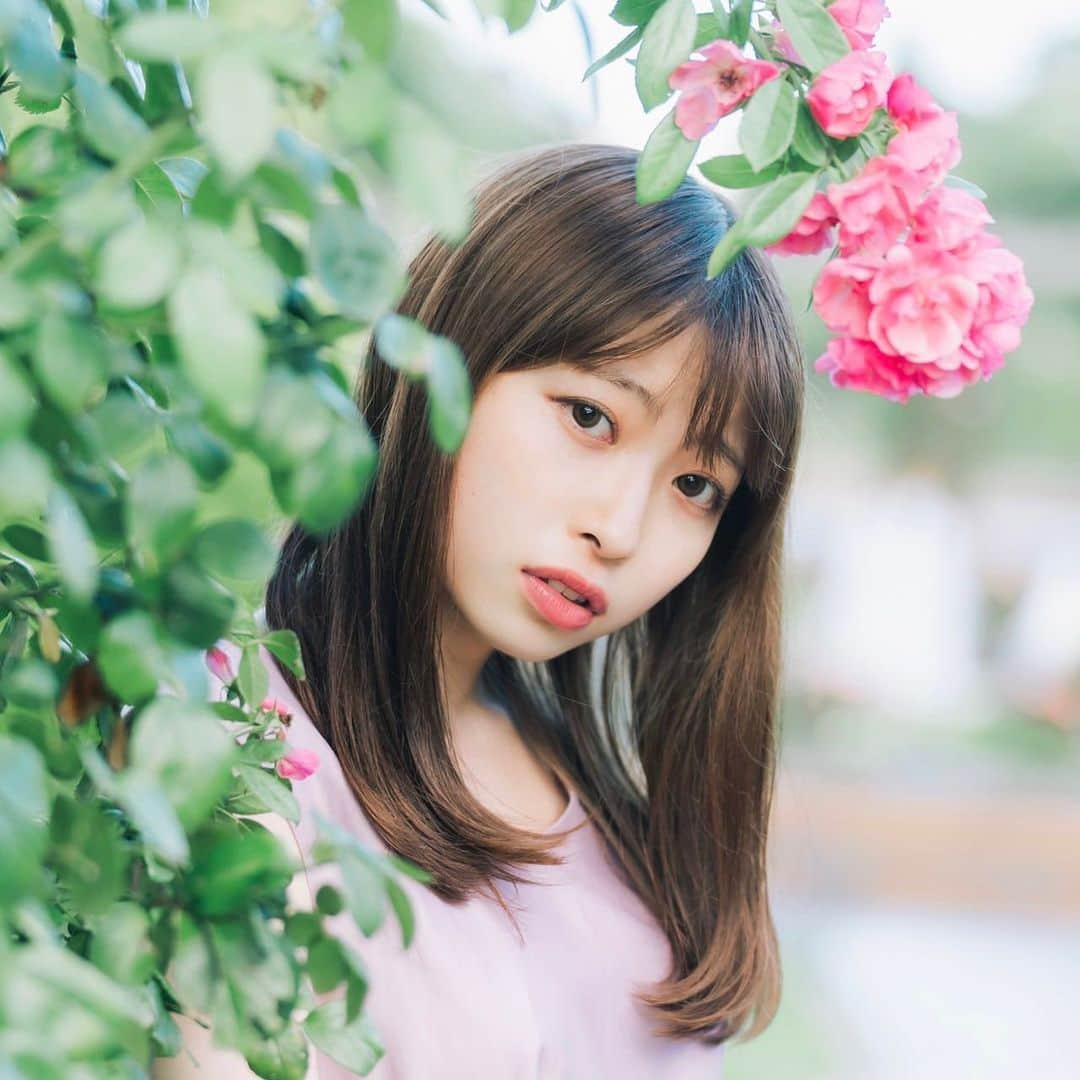 セントフォースさんのインスタグラム写真 - (セントフォースInstagram)「. この度、長谷川遥花さんがセント・フォースsproutに所属することになりました✨  -----------------------------------------------  はじめまして！ 長谷川遥花(はせがわはるか)です。  支えてくださる方々への感謝の気持ちを大切に、笑顔で私らしく頑張りますので、どうぞよろしくお願い致します。  -----------------------------------------------  と、申しております。 皆様、よろしくお願い致します。   #長谷川遥花 (@haruka.hasegawa_ )  #セントフォース #セントフォースsprout #東京大学 #ダンス #茶道 #ご飯 #ミス東大」1月25日 20時10分 - centforce.official