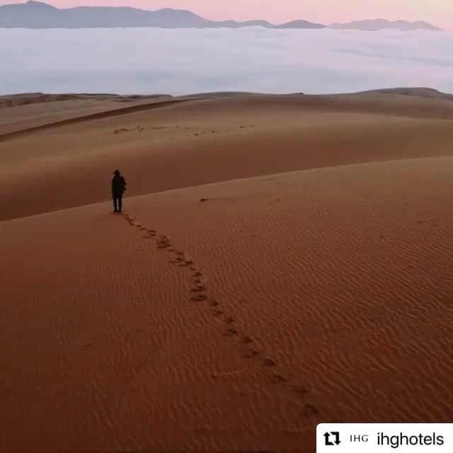 ANA CROWNE PLAZA NARITAのインスタグラム：「#Repost @ihghotels with @make_repost ・・・ Cheers to making travel **even more** rewarding. 🥂」