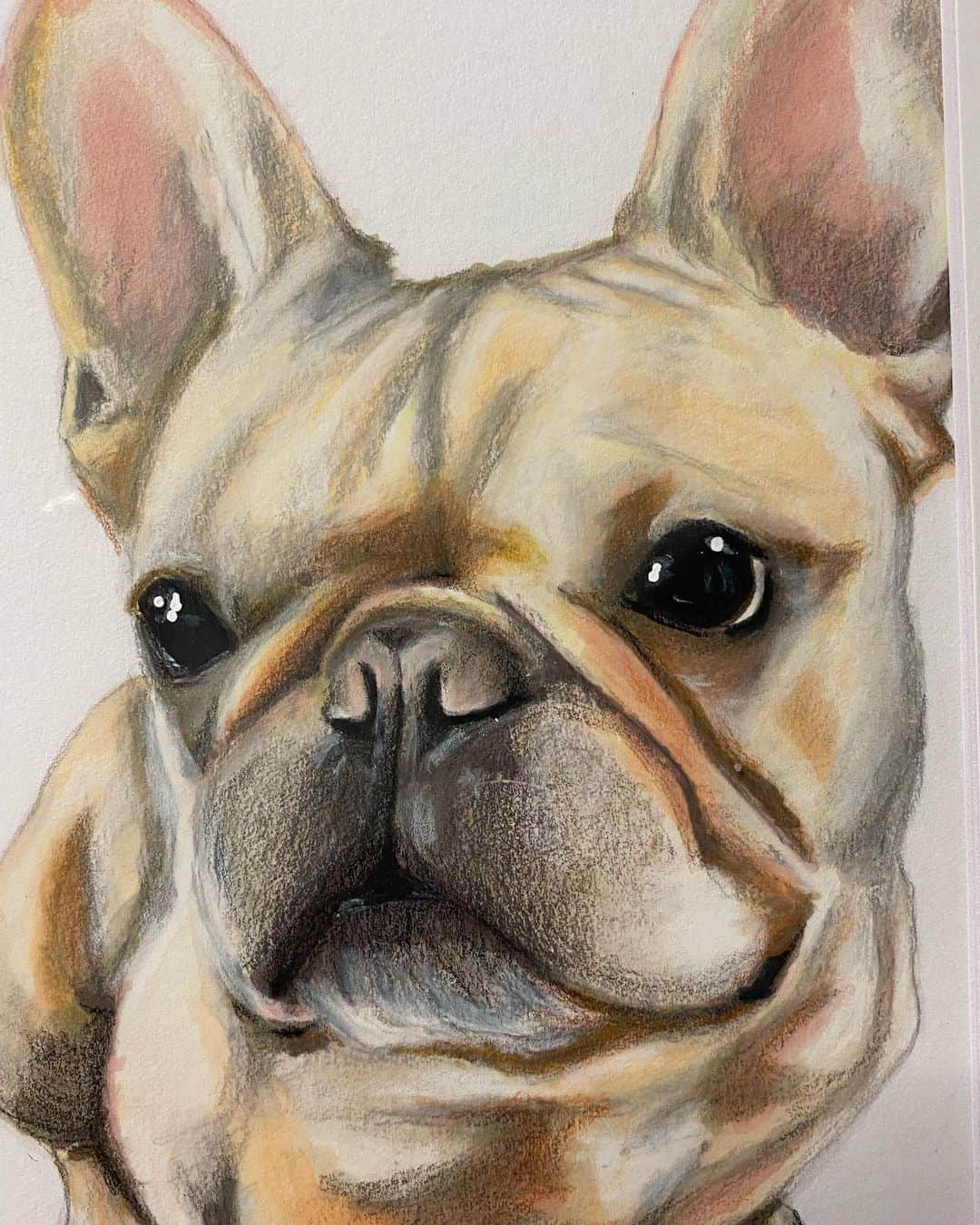 Hamlinさんのインスタグラム写真 - (HamlinInstagram)「Check out this wonderful drawing that @angelatdesigns created for Hamlin! It’s so amazingly amazing and awesome. My jowls look so lifelike that you can practically see the lint balls, crumbs, and unearthed Micro Machines found under couch cushions tucked away in my whisker flaps. Thanks for the amazing art piece!!! ❤️  Check out @angelatdesigns to find out more about how you can get your own custom drawing of your furbaby!」1月26日 11時28分 - hamlin_the_frenchie