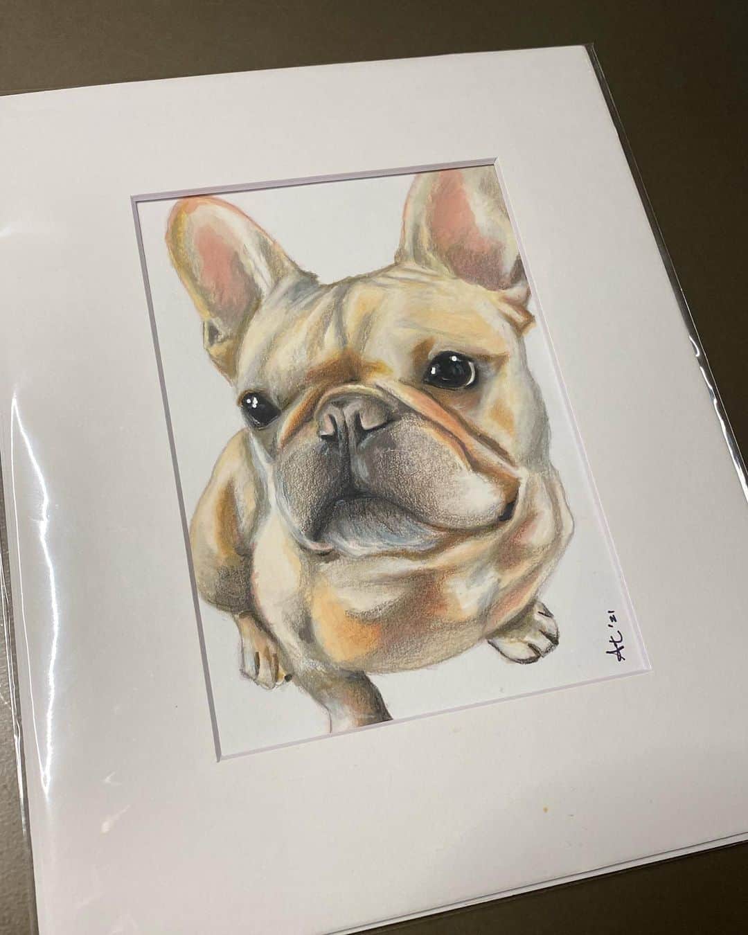 Hamlinのインスタグラム：「Check out this wonderful drawing that @angelatdesigns created for Hamlin! It’s so amazingly amazing and awesome. My jowls look so lifelike that you can practically see the lint balls, crumbs, and unearthed Micro Machines found under couch cushions tucked away in my whisker flaps. Thanks for the amazing art piece!!! ❤️  Check out @angelatdesigns to find out more about how you can get your own custom drawing of your furbaby!」