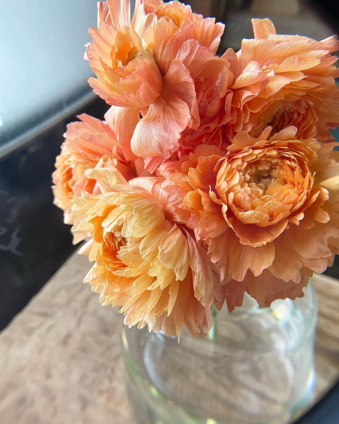 わちみなみのインスタグラム：「🔍  ラナンキュラス サーモンピンクの珍しくてかわいい🌸  #お花　#ラナンキュラス」