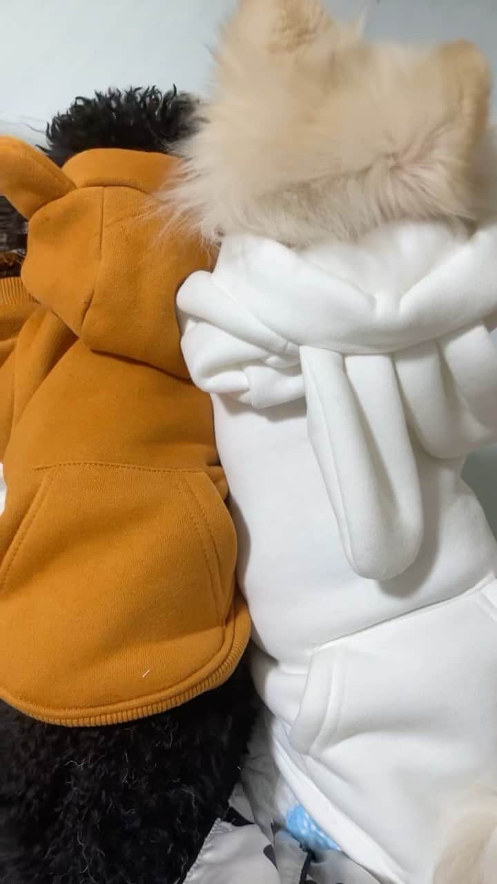 のインスタグラム：「黒宮ベイビーちゃん達💞👶🐶 撮り方ズレすぎて下手🤣w」