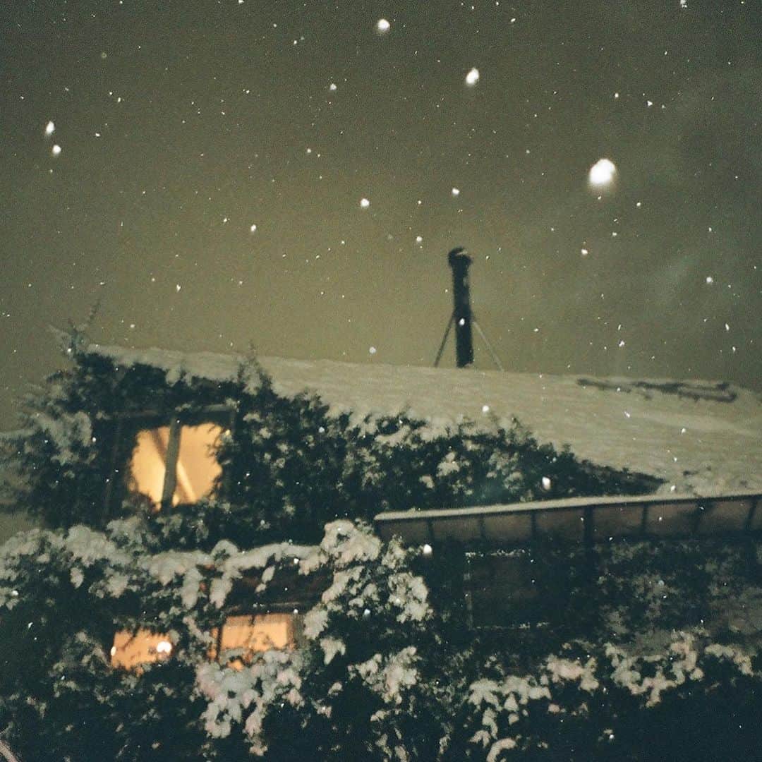横田ひかるさんのインスタグラム写真 - (横田ひかるInstagram)「Snow scene ☃︎❄︎  #hikarufilms」1月26日 20時00分 - _rncn950805