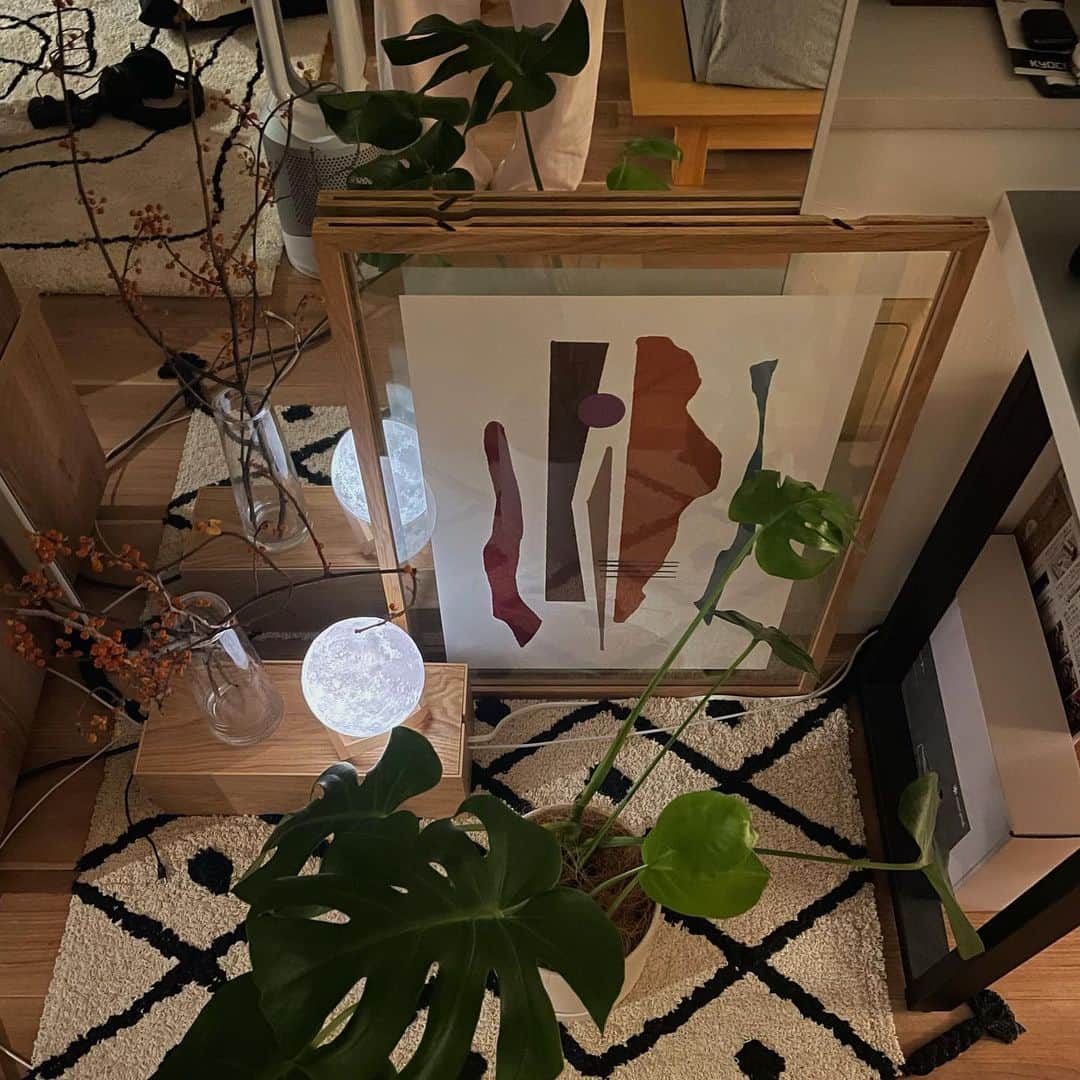 吹春友介のインスタグラム：「⠀ 雑貨増える🏠🌱」