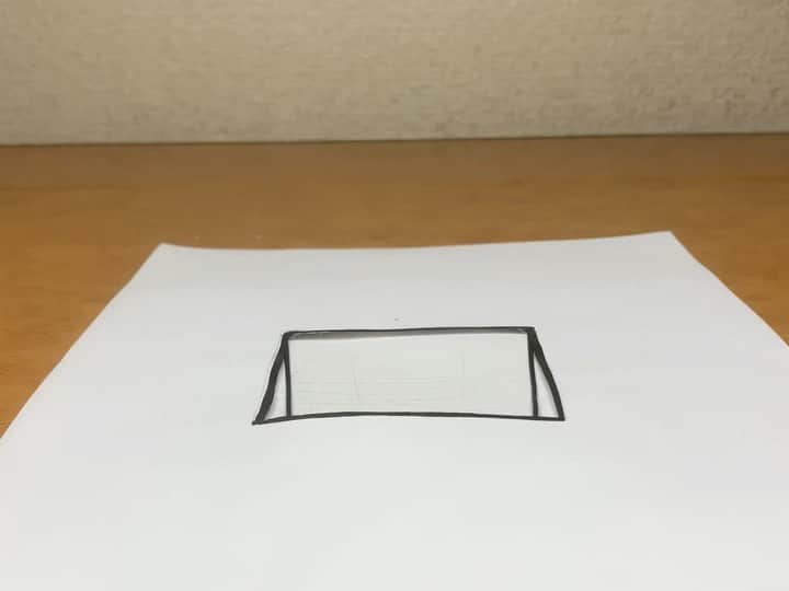 しんらしんげのインスタグラム：「穴の中の猫  #動くトリックアート」
