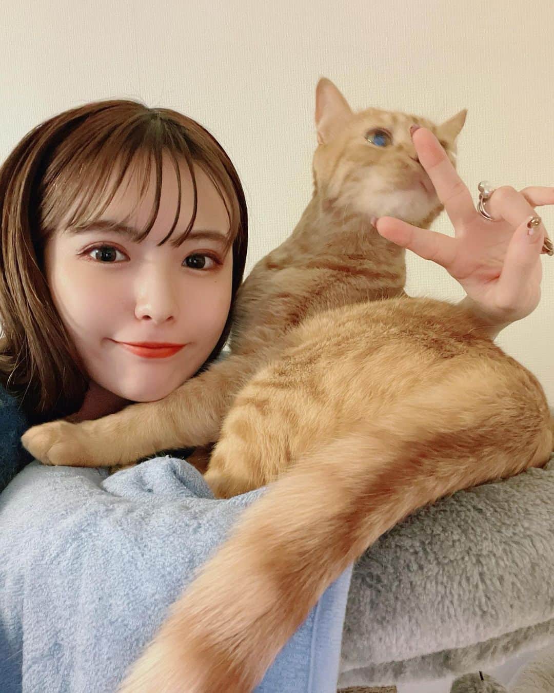 木下ひなこさんのインスタグラム写真 - (木下ひなこInstagram)「自撮り👉甘噛みまで🐈💙笑  #selfie#selca#japanesegirl#cat#catstagram#猫#保護猫#猫のいる暮らし#保護猫と暮らす#自撮り#ニット」1月27日 22時02分 - hinako_0525