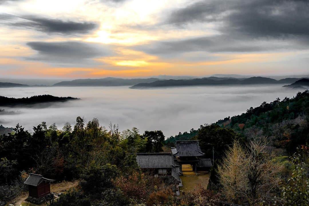 田村幸士のインスタグラム：「. 雲上の寺 Temple on the clouds . . . . . . . —— ✂︎ ——— #kyoto #kyotojapan #kyototemple #seaofclouds #naturegeography #naturelover #discovertokyo #explorejpn  #wu_japan #jp_gallery #tokyocameraclub #lovers_nippon #nihonshooters #aestheticsjapan #japan_vacations #best_tokyo_photos #unknownjapan #japanfeatured #japanesetemple #mountains #mountainphotography #京都 #京都旅行 #京都旅 #雲海 #日本の絶景 #日本の風景 #寺院仏閣 #山寺 #自然が好き」