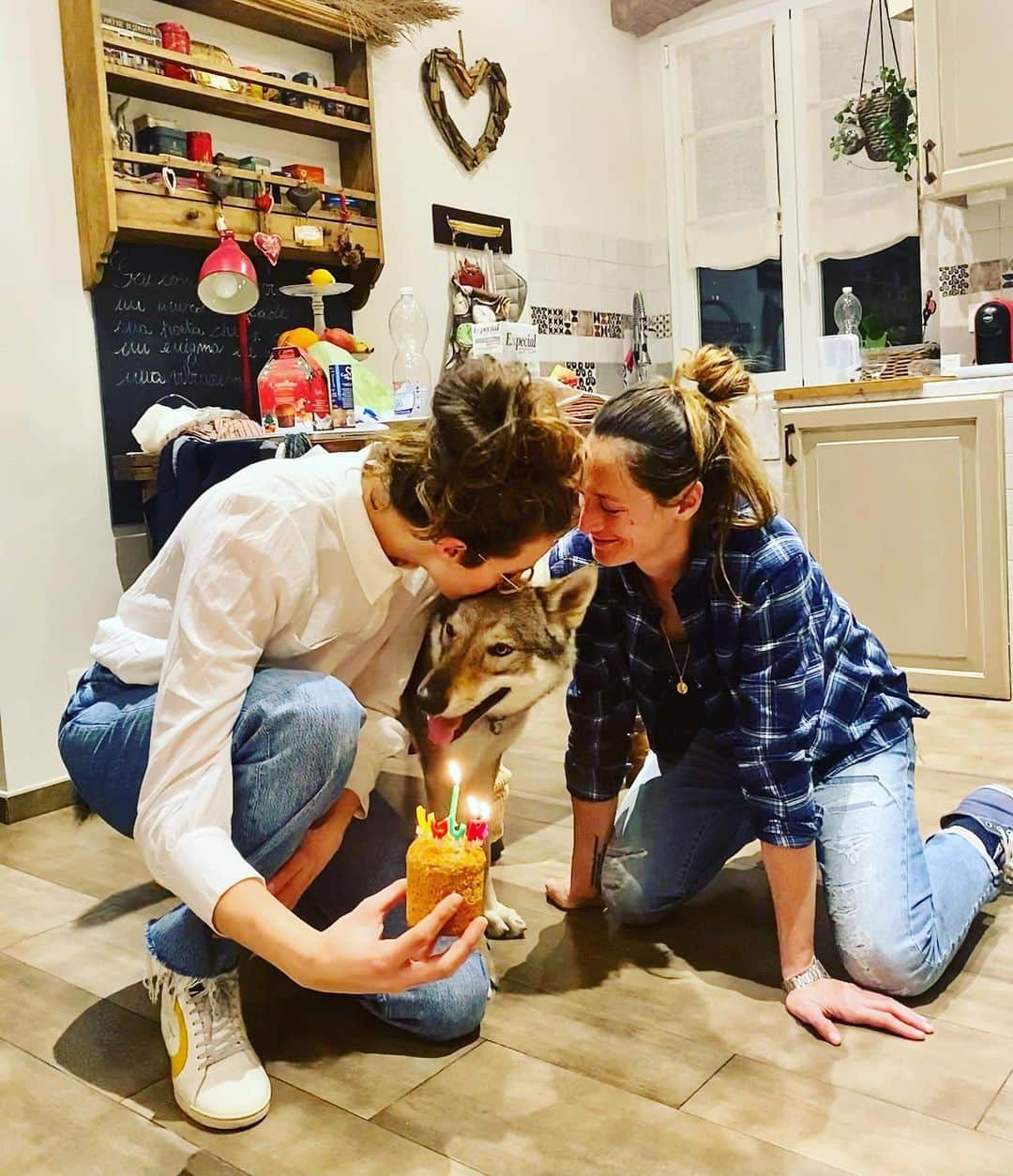ヴァレンティナ・アリゲッティのインスタグラム：「Un anno di te… 🎂🐊 #happybirthday #coccodrilla #therainbowflock #solofigaccioni #canelupocecoslovaccoitalia」