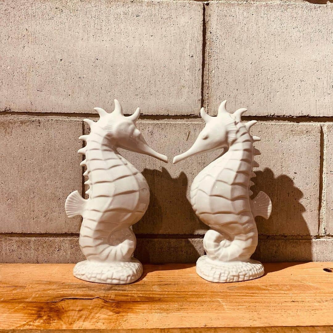 eight o eight さんのインスタグラム写真 - (eight o eight Instagram)「𓇼。°.・。  sea horse 陶器 objet  size 約27×14cm  1コ ¥5,610  3コ ¥13,200  DMにて お問い合わせください ☑︎通販可能」1月28日 14時25分 - 808store