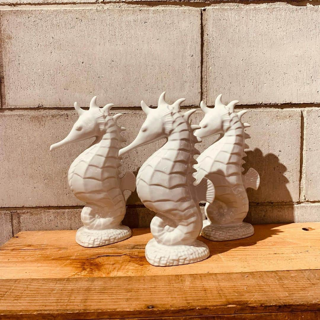 eight o eight さんのインスタグラム写真 - (eight o eight Instagram)「𓇼。°.・。  sea horse 陶器 objet  size 約27×14cm  1コ ¥5,610  3コ ¥13,200  DMにて お問い合わせください ☑︎通販可能」1月28日 14時25分 - 808store